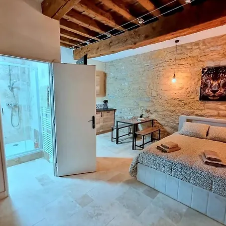 Le Petit Cocon Cozy Proche De Lyon Apartament